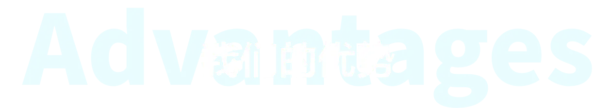 我们的优势